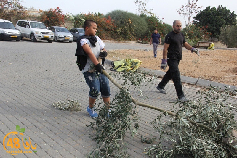 tasoooi3i1412 (57).JPG